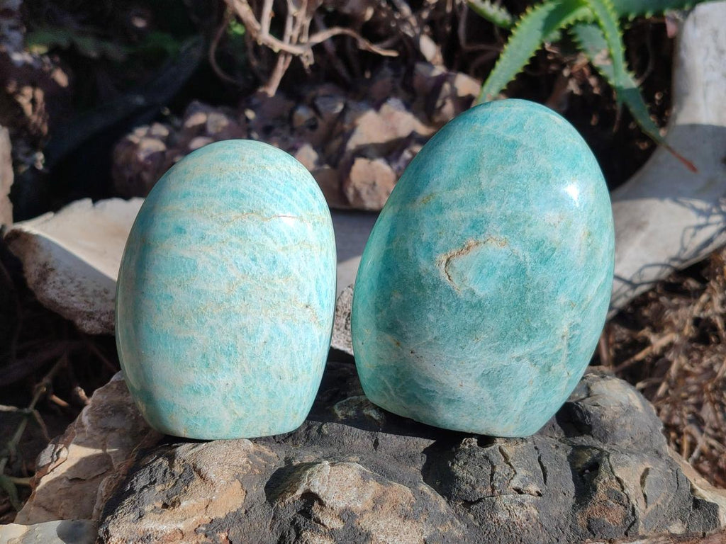 Polished Amazonite Standing Display Pieces x 12 From Madagascar - Toprock Gemstones and Minerals 