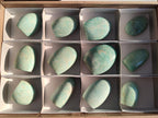 Polished Amazonite Standing Display Pieces x 12 From Madagascar - Toprock Gemstones and Minerals 