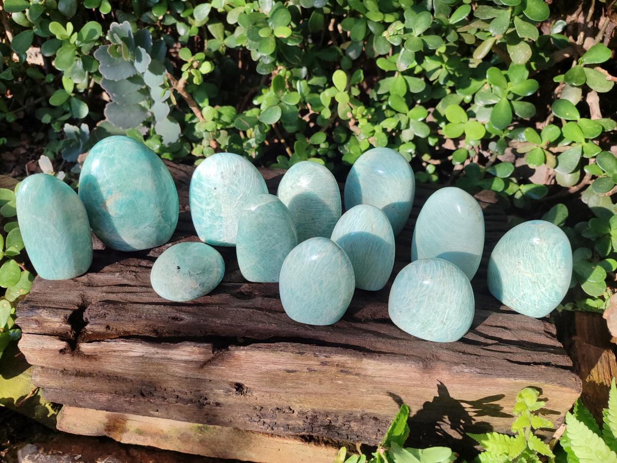 Polished Amazonite Standing Display Pieces x 12 From Madagascar - Toprock Gemstones and Minerals 