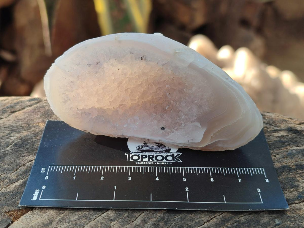 Polished and Natural Mix of Amethyst Centered Agate Pieces x 12 From Maintirano, Madagascar - Toprock Gemstones and Minerals 