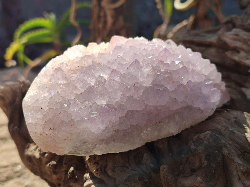 Polished and Natural Mix of Amethyst Centered Agate Pieces x 12 From Maintirano, Madagascar - Toprock Gemstones and Minerals 