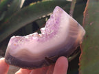 Polished and Natural Mix of Amethyst Centered Agate Pieces x 12 From Maintirano, Madagascar - Toprock Gemstones and Minerals 
