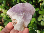 Polished and Natural Mix of Amethyst Centered Agate Pieces x 12 From Maintirano, Madagascar - Toprock Gemstones and Minerals 