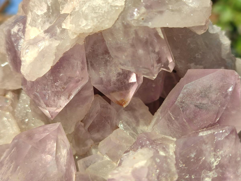 Natural Large Jacaranda Amethyst Cluster x 1 From Mumbwa, Zambia - Toprock Gemstones and Minerals 