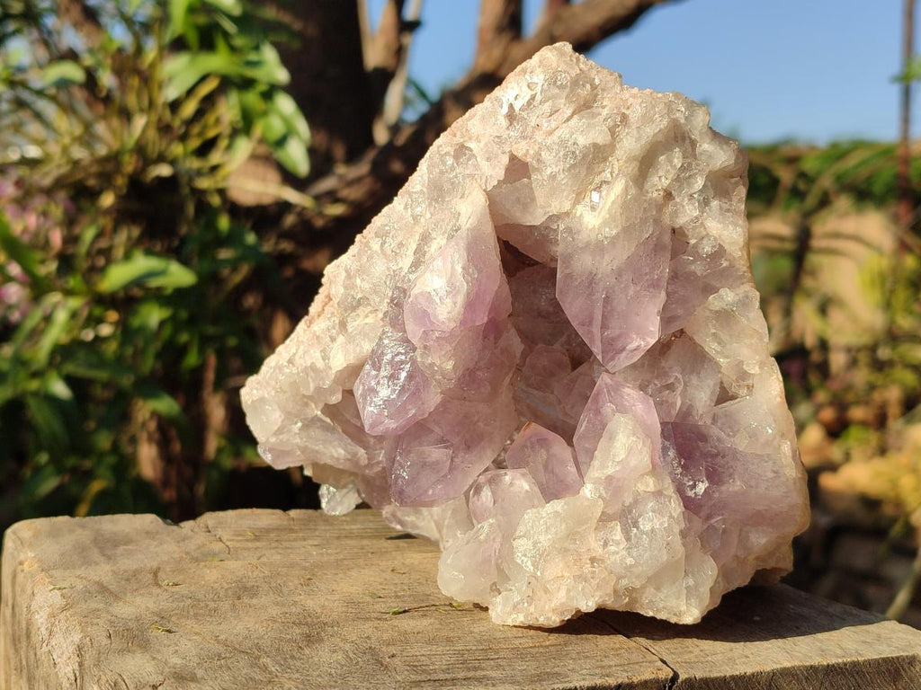 Natural Large Jacaranda Amethyst Cluster x 1 From Mumbwa, Zambia - Toprock Gemstones and Minerals 