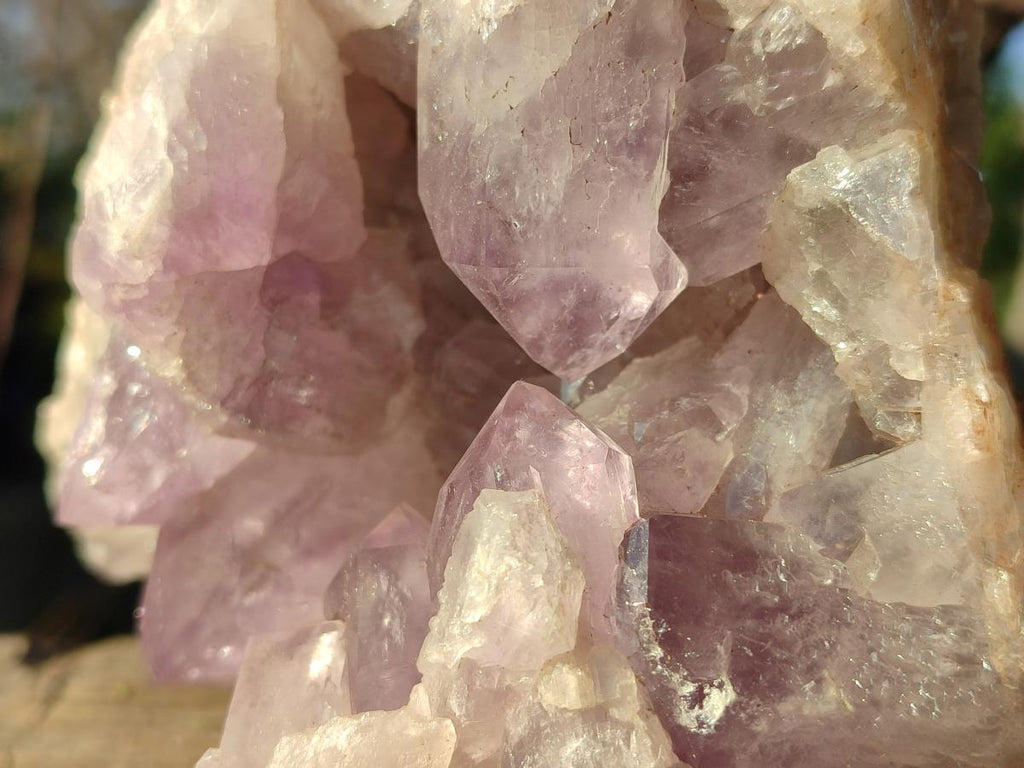 Natural Large Jacaranda Amethyst Cluster x 1 From Mumbwa, Zambia - Toprock Gemstones and Minerals 