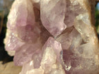 Natural Large Jacaranda Amethyst Cluster x 1 From Mumbwa, Zambia - Toprock Gemstones and Minerals 