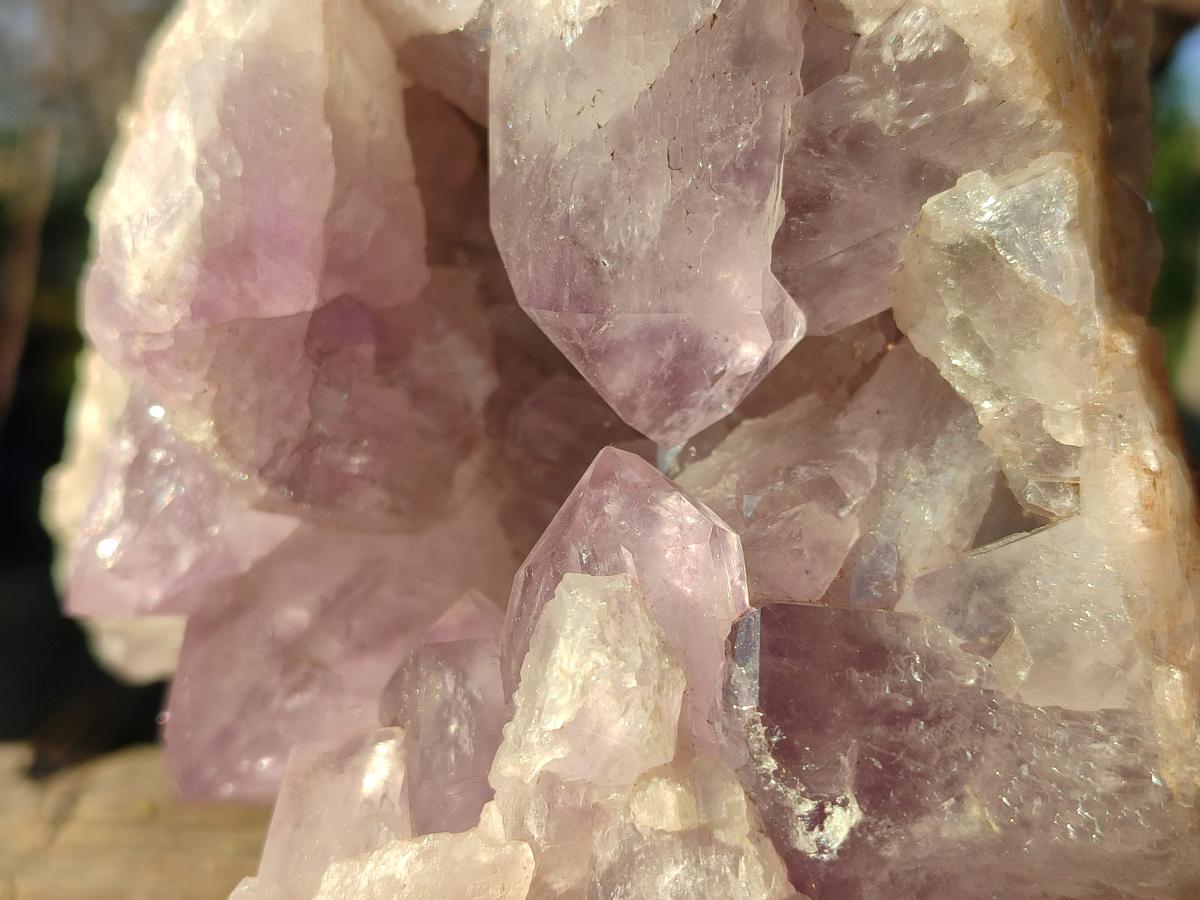 Natural Large Jacaranda Amethyst Cluster x 1 From Mumbwa, Zambia - Toprock Gemstones and Minerals 