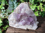 Natural Large Jacaranda Amethyst Cluster x 1 From Mumbwa, Zambia - Toprock Gemstones and Minerals 