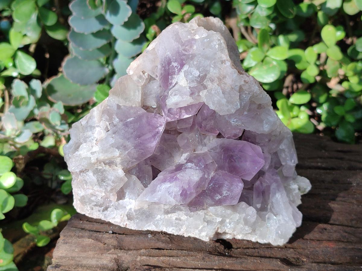 Natural Large Jacaranda Amethyst Cluster x 1 From Mumbwa, Zambia - Toprock Gemstones and Minerals 