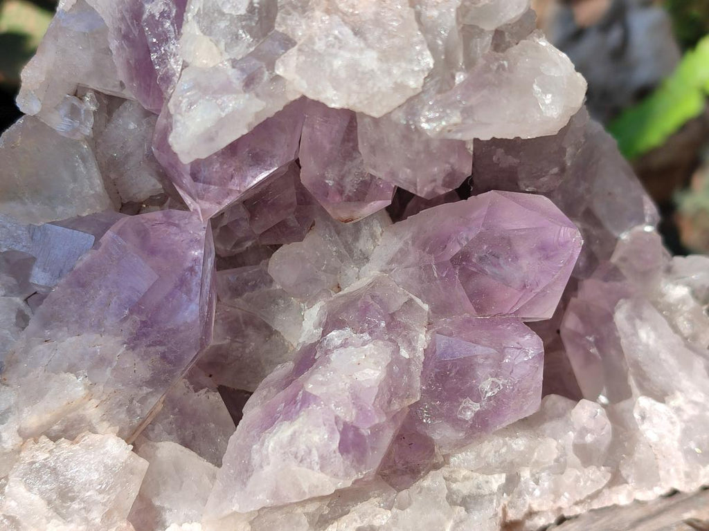 Natural Large Jacaranda Amethyst Cluster x 1 From Mumbwa, Zambia - Toprock Gemstones and Minerals 