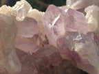 Natural Large Jacaranda Amethyst Cluster x 1 From Mumbwa, Zambia - Toprock Gemstones and Minerals 