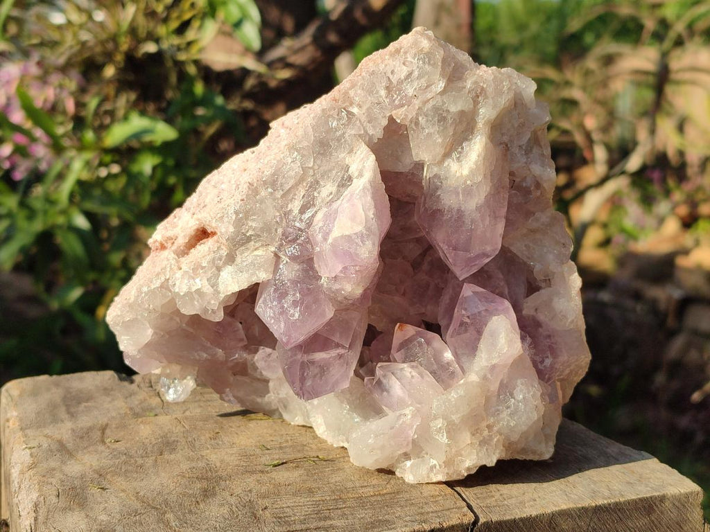 Natural Large Jacaranda Amethyst Cluster x 1 From Mumbwa, Zambia - Toprock Gemstones and Minerals 