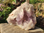 Natural Large Jacaranda Amethyst Cluster x 1 From Mumbwa, Zambia - Toprock Gemstones and Minerals 
