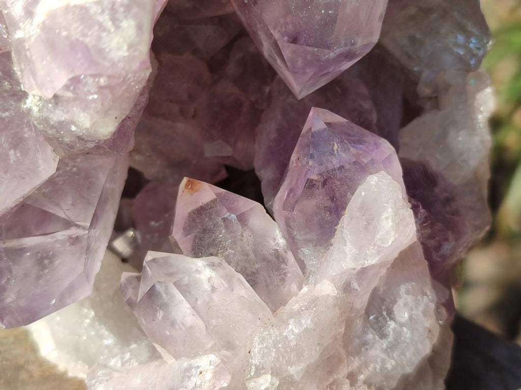 Natural Large Jacaranda Amethyst Cluster x 1 From Mumbwa, Zambia - Toprock Gemstones and Minerals 