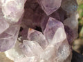 Natural Large Jacaranda Amethyst Cluster x 1 From Mumbwa, Zambia - Toprock Gemstones and Minerals 