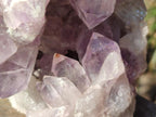 Natural Large Jacaranda Amethyst Cluster x 1 From Mumbwa, Zambia - Toprock Gemstones and Minerals 