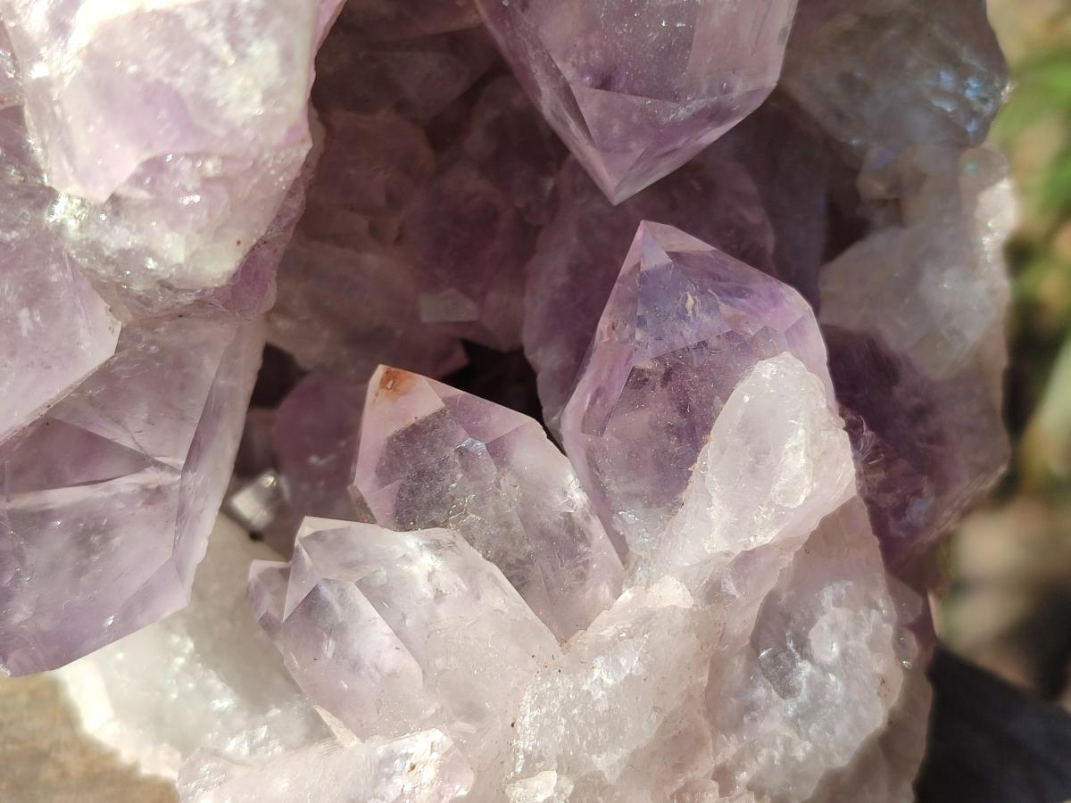 Natural Large Jacaranda Amethyst Cluster x 1 From Mumbwa, Zambia - Toprock Gemstones and Minerals 