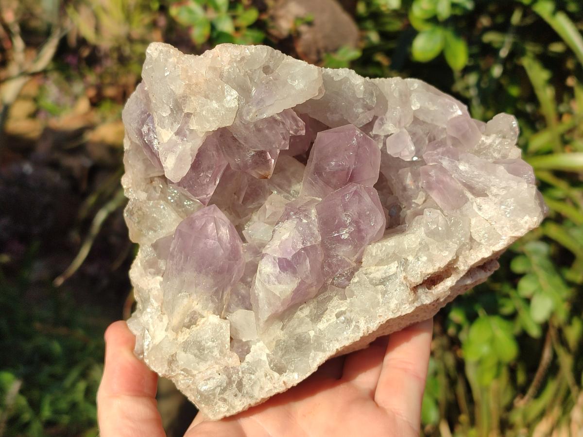 Natural Large Jacaranda Amethyst Cluster x 1 From Mumbwa, Zambia - Toprock Gemstones and Minerals 