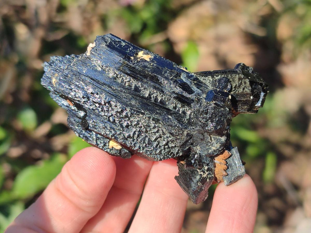Natural Schorl Black Tourmaline Crystal Specimens x 12 From Erongo, Namibia - Toprock Gemstones and Minerals 