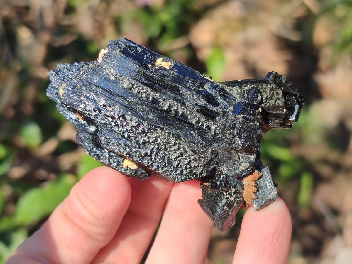 Natural Schorl Black Tourmaline Crystal Specimens x 12 From Erongo, Namibia - Toprock Gemstones and Minerals 