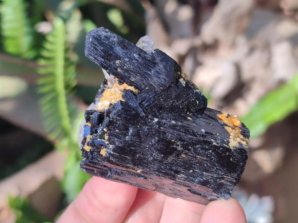 Natural Schorl Black Tourmaline Crystal Specimens x 12 From Erongo, Namibia - Toprock Gemstones and Minerals 