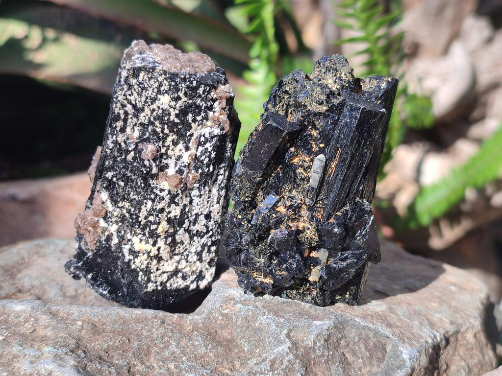 Natural Schorl Black Tourmaline Crystal Specimens x 12 From Erongo, Namibia - Toprock Gemstones and Minerals 