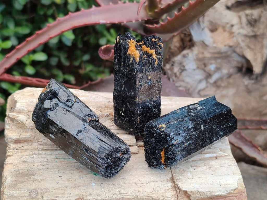 Natural Schorl Black Tourmaline Crystal Specimens x 12 From Erongo, Namibia - Toprock Gemstones and Minerals 