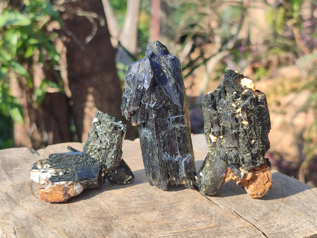 Natural Schorl Black Tourmaline Crystal Specimens x 12 From Erongo, Namibia - Toprock Gemstones and Minerals 