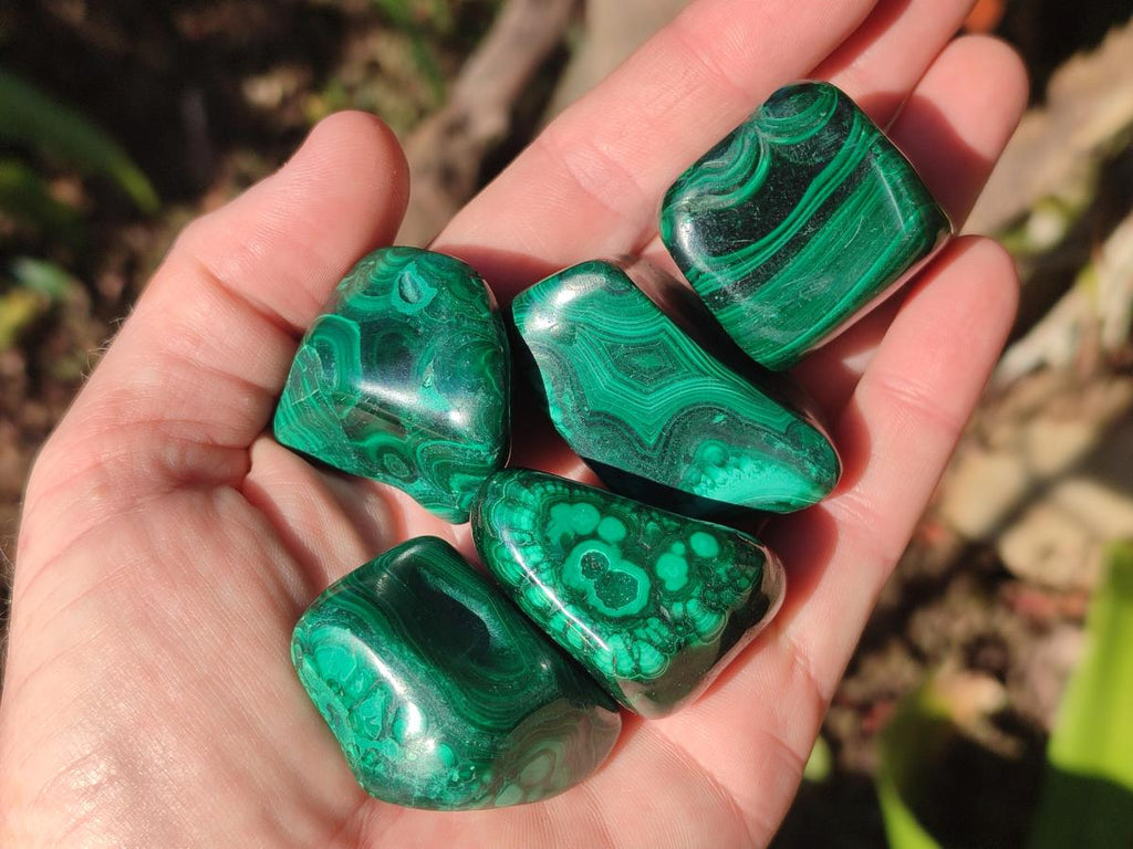 Polished Flower Banded Malachite Free Forms x 20 From Congo - Toprock Gemstones and Minerals 