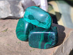 Polished Flower Banded Malachite Free Forms x 20 From Congo - Toprock Gemstones and Minerals 