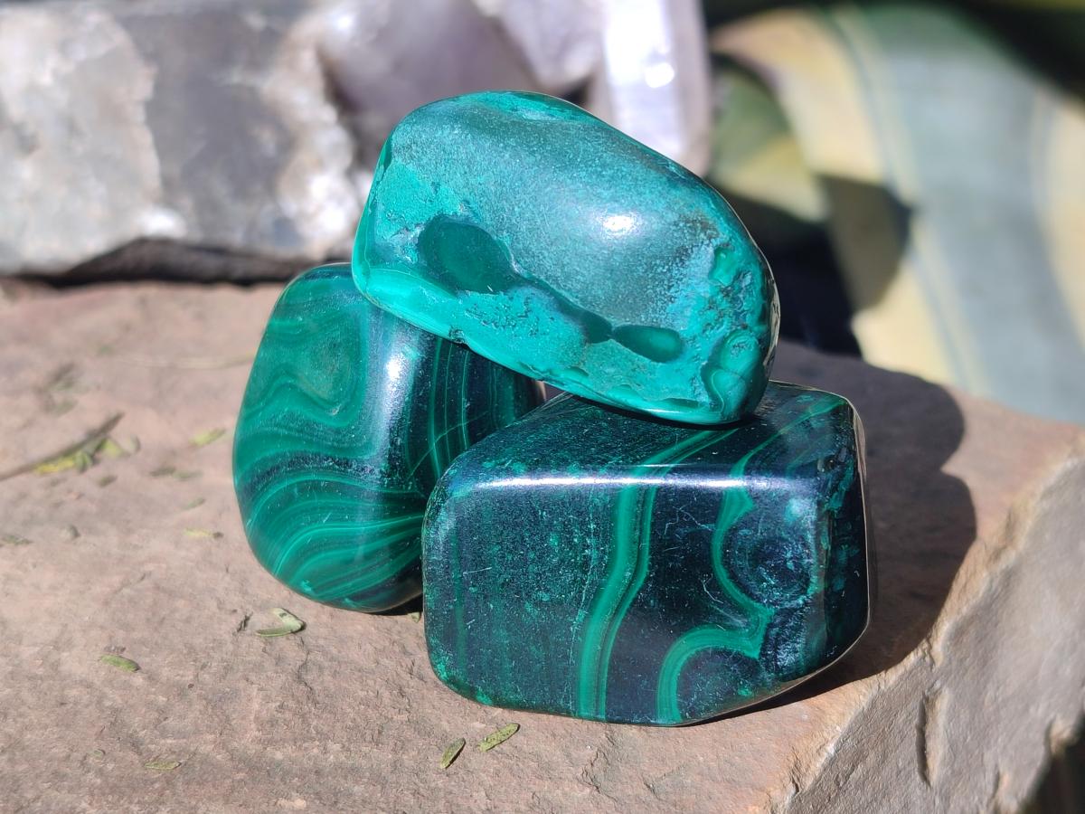Polished Flower Banded Malachite Free Forms x 20 From Congo - Toprock Gemstones and Minerals 