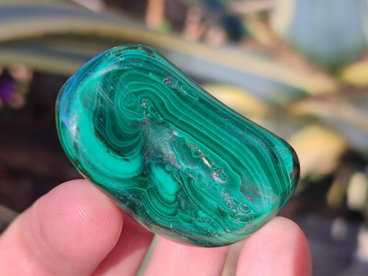 Polished Flower Banded Malachite Free Forms x 20 From Congo - Toprock Gemstones and Minerals 
