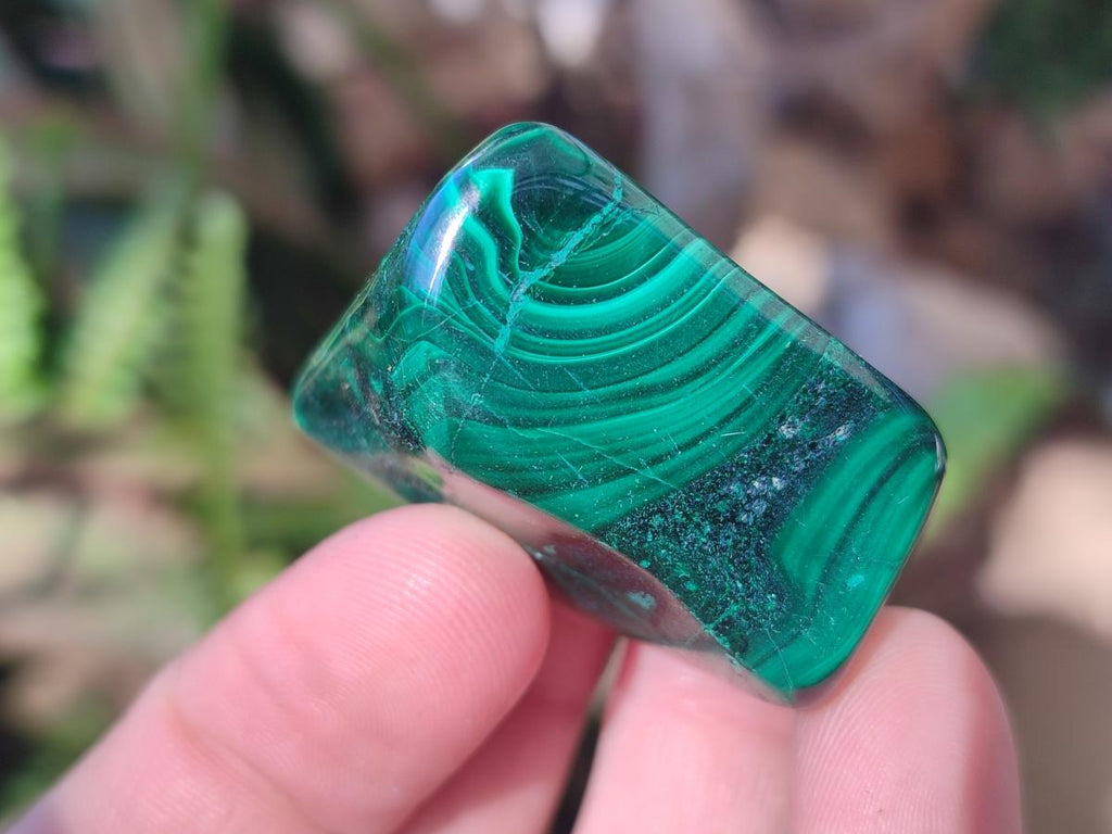 Polished Flower Banded Malachite Free Forms x 20 From Congo - Toprock Gemstones and Minerals 