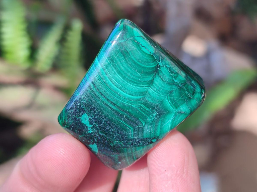 Polished Flower Banded Malachite Free Forms x 20 From Congo - Toprock Gemstones and Minerals 