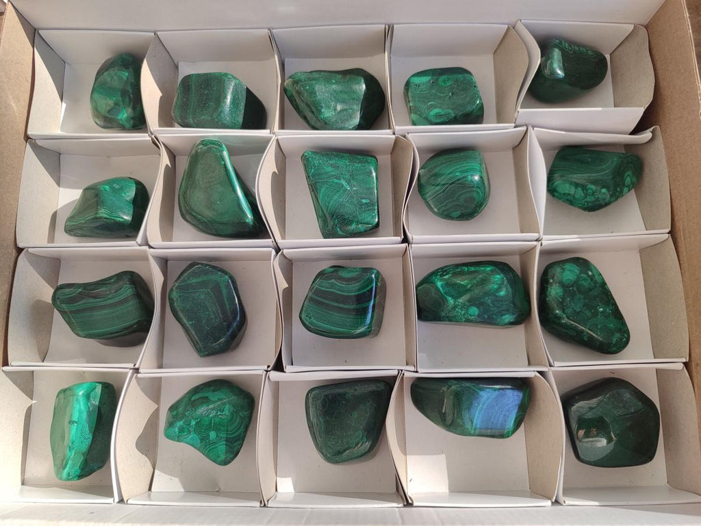 Polished Flower Banded Malachite Free Forms x 20 From Congo - Toprock Gemstones and Minerals 