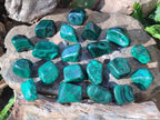 Polished Flower Banded Malachite Free Forms x 20 From Congo - Toprock Gemstones and Minerals 