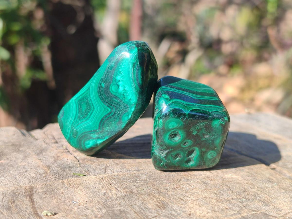 Polished Flower Banded Malachite Free Forms x 20 From Congo - Toprock Gemstones and Minerals 