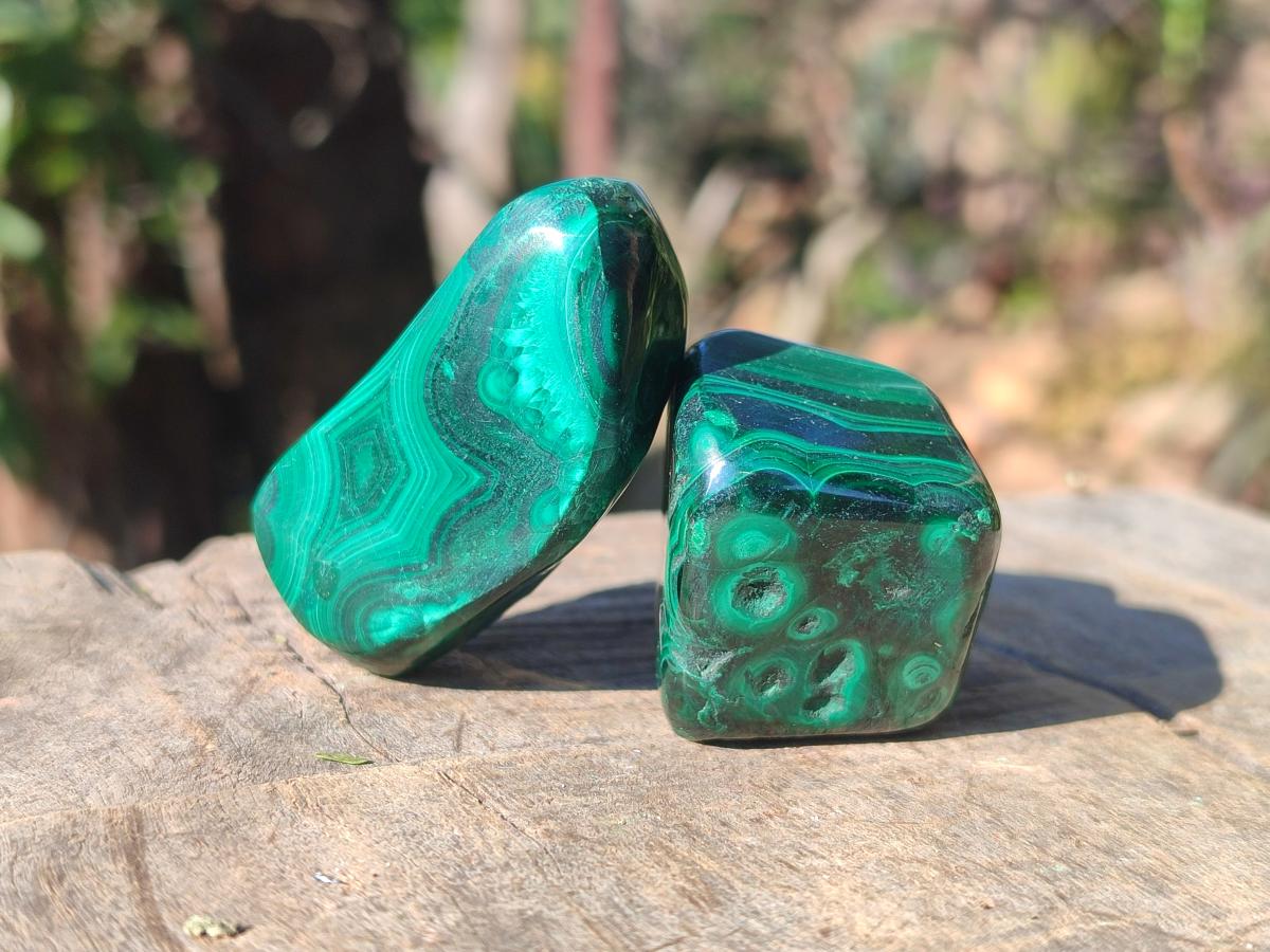 Polished Flower Banded Malachite Free Forms x 20 From Congo - Toprock Gemstones and Minerals 