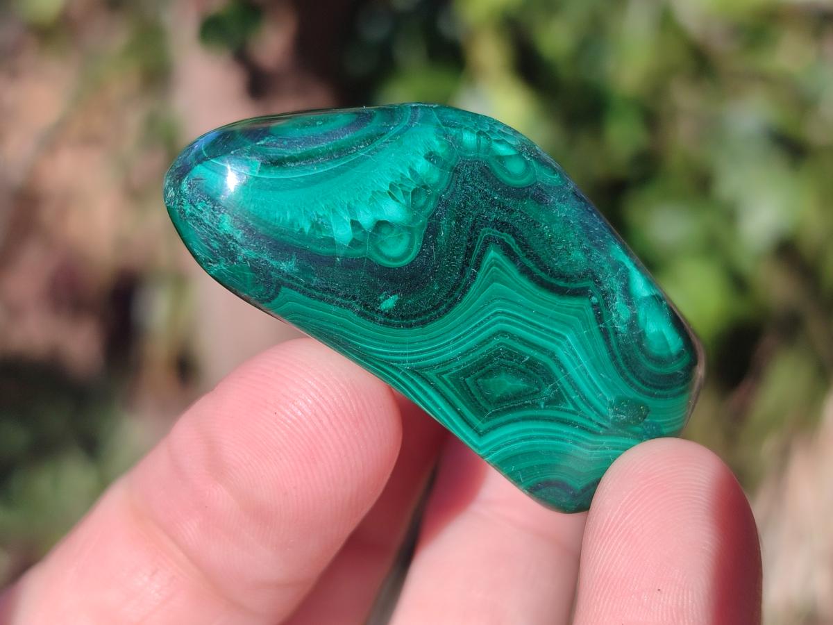 Polished Flower Banded Malachite Free Forms x 20 From Congo - Toprock Gemstones and Minerals 