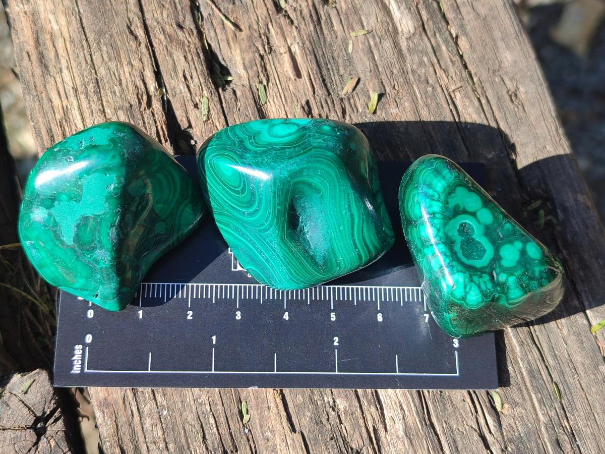 Polished Flower Banded Malachite Free Forms x 20 From Congo - Toprock Gemstones and Minerals 