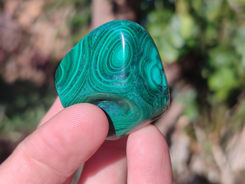 Polished Flower Banded Malachite Free Forms x 20 From Congo - Toprock Gemstones and Minerals 