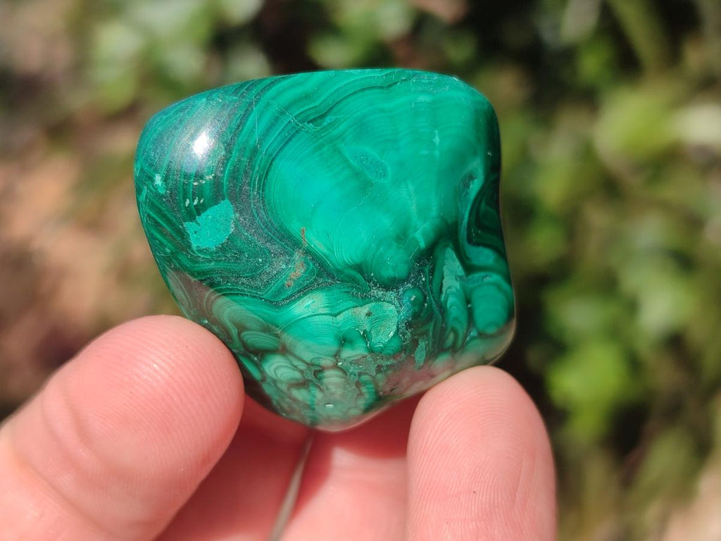 Polished Flower Banded Malachite Free Forms x 20 From Congo - Toprock Gemstones and Minerals 