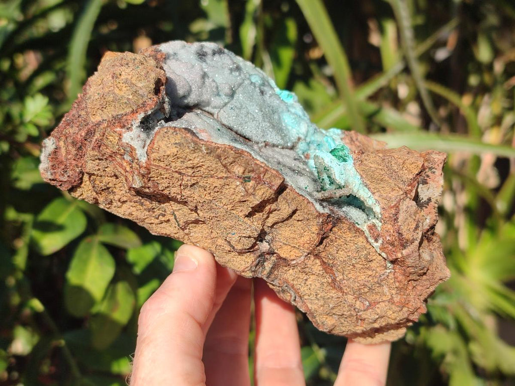 Natural Large Drusy Coated Chrysocolla Specimen on Dolomite x 1 From Lupoto Mine, Congo - Toprock Gemstones and Minerals 