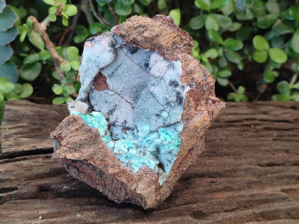 Natural Large Drusy Coated Chrysocolla Specimen on Dolomite x 1 From Lupoto Mine, Congo - Toprock Gemstones and Minerals 