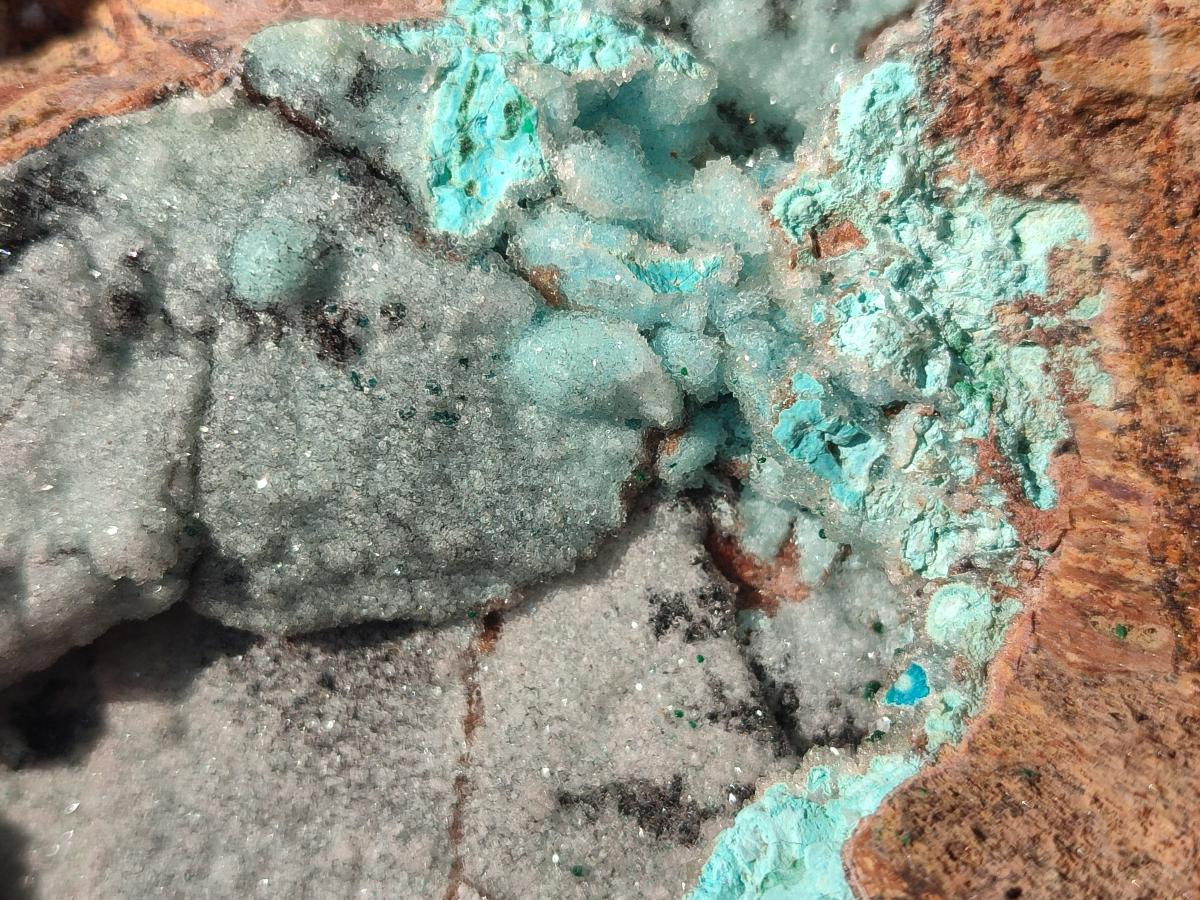 Natural Large Drusy Coated Chrysocolla Specimen on Dolomite x 1 From Lupoto Mine, Congo - Toprock Gemstones and Minerals 