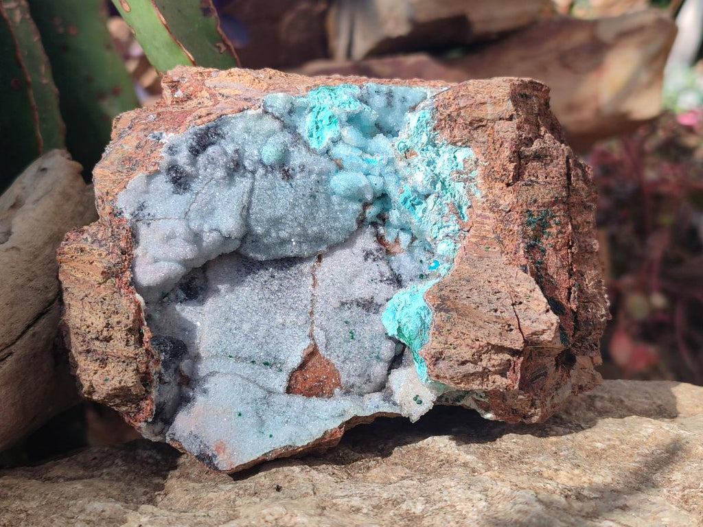 Natural Large Drusy Coated Chrysocolla Specimen on Dolomite x 1 From Lupoto Mine, Congo - Toprock Gemstones and Minerals 