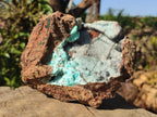 Natural Large Drusy Coated Chrysocolla Specimen on Dolomite x 1 From Lupoto Mine, Congo - Toprock Gemstones and Minerals 