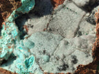 Natural Large Drusy Coated Chrysocolla Specimen on Dolomite x 1 From Lupoto Mine, Congo - Toprock Gemstones and Minerals 