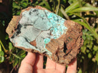 Natural Large Drusy Coated Chrysocolla Specimen on Dolomite x 1 From Lupoto Mine, Congo - Toprock Gemstones and Minerals 